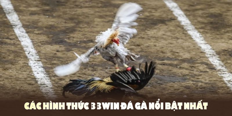 Tìm hiểu các hình thức 33WIN đá gà nổi bật nhất