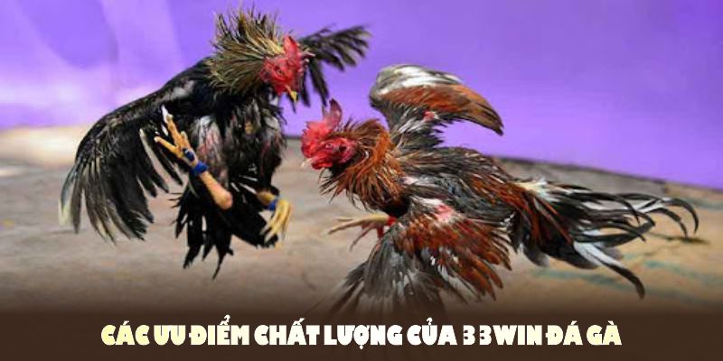 Khám phá các ưu điểm chất lượng của 33WIN đá gà tại cổng game
