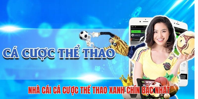 Tận hưởng không gian cá cược thể thao hoàn hảo toàn diện
